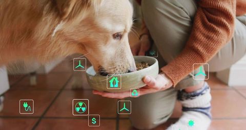Golden retriever feeding from bowl with augmented reality pet care and smart home icons