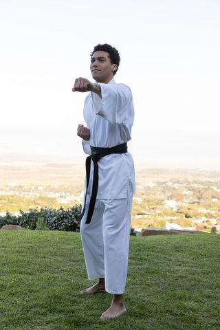 Martial artist practicing punching on scenic hilltop