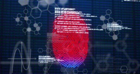 Cybersecurity Fingerprint Display with Digital Codes - Download Free Stock Images Pikwizard.com