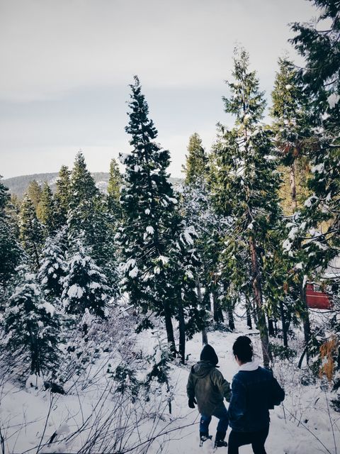 Two children are walking in a snow-covered forest, surrounded by evergreen trees in winter. This image can be used to illustrate winter activities, family adventures, outdoor exploration, and the beauty of nature during the cold season.