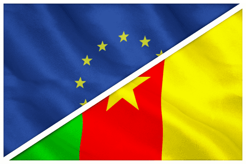 transparent overlay of european and cameroonian flags - Download Free Stock Videos Pikwizard.com