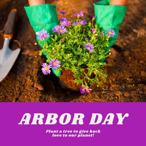 Celebrating arbor day with gardening and nature awareness