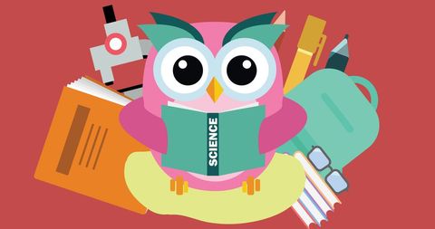 Colorful Owl Reading Science Book Amidst School Supplies