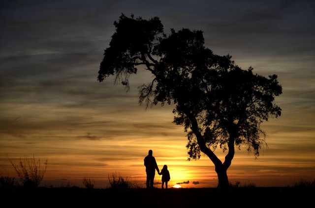 Silhouette of Father and Child Holding Hands at Sunset Under Tree - Download Free Stock Photos Pikwizard.com