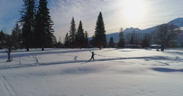 Perfect for depicting winter activities and outdoor sports, this image showcases an individual skiing in a tranquil snowy landscape surrounded by trees and distant mountains with sunlight softly peeking through the sky. Ideal for website headers, travel brochures, or nature-themed blogs.