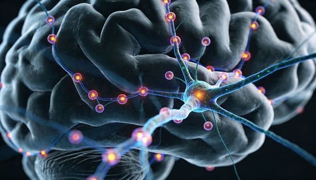 Glowing neuron firing across human brain cortex with synapse activity and axon detail