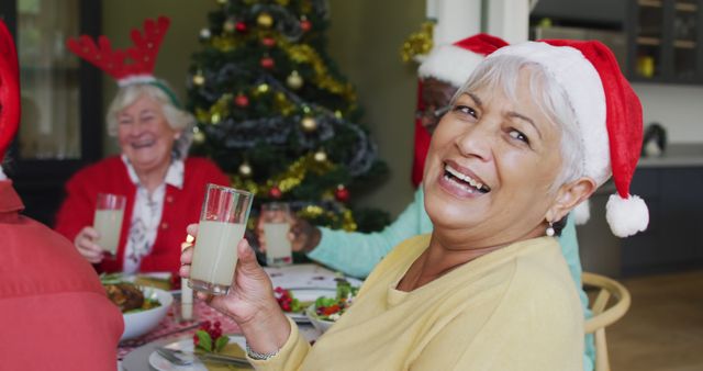 Happy biracial senior woman celebrating meal with friends at christmas time. christmas festivities, celebrating at home with friends.