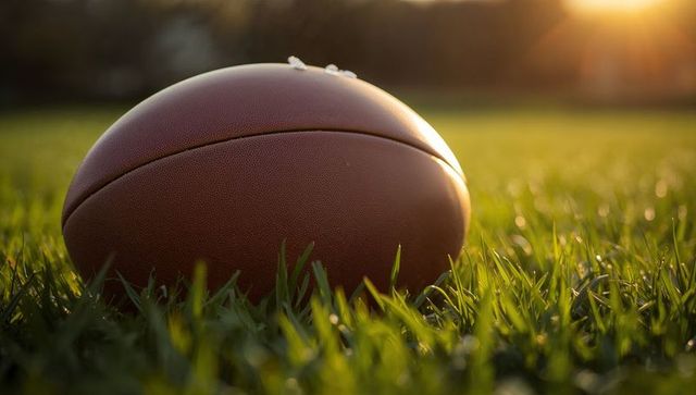 Close-up of american football on dewy grass at sunset