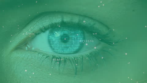 Futuristic Biometric Security with Digital Overlay Eye