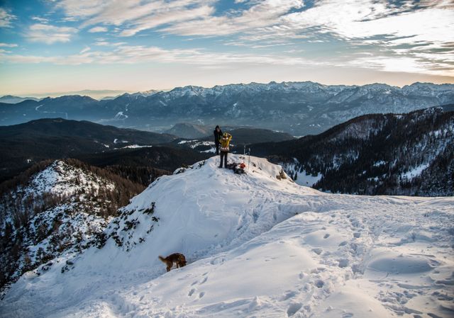 Person holds up a camera enjoying snowy peak view on mountain, accompanied by a dog. Perfect for outdoor adventure, travel inspiration, winter sports promotion, scenic views advertising.