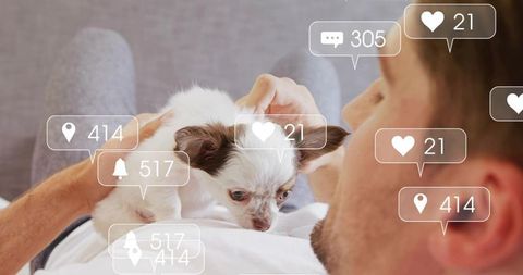 Man cradling chihuahua puppy on couch, petting, social media notifications floating