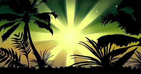 Vibrant Tropical Landscape with Radiant Sunrise - Download Free Stock Images Pikwizard.com