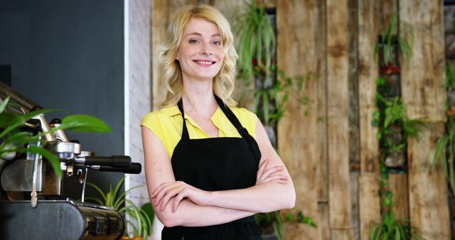 Smiling Barista in Cafe Wearing Black Apron - Download Free Stock Images Pikwizard.com