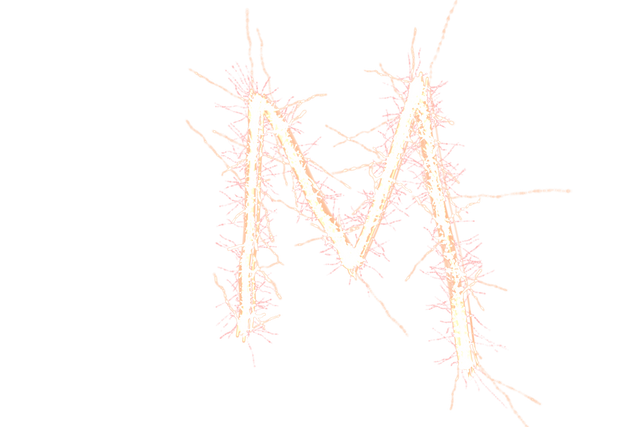 White Sparkling Letter M on Transparent Background - Download Free Stock Videos Pikwizard.com