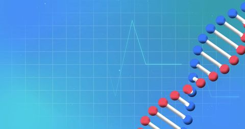 DNA Strand with Cardiograph on Digital Blue Background - Download Free Stock Images Pikwizard.com