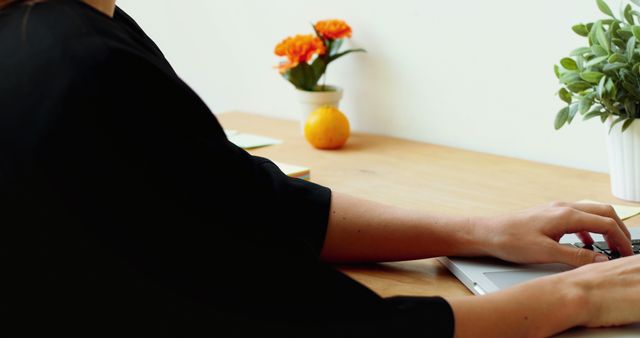 Person Typing on Laptop at Minimalist Desk with Plant and Flowers - Download Free Stock Images Pikwizard.com