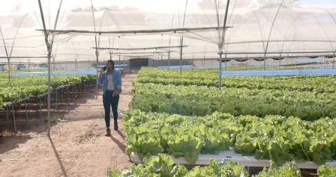 Woman inspecting crops in hydroponic farm greenhouse