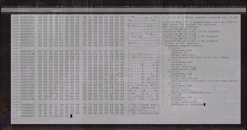 Terminal overlay showing hex dump and nmap scan results over neon circuitry grid