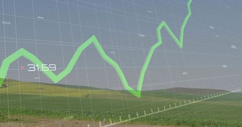 Digital Agriculture and Data Visualization in a Rural Landscape