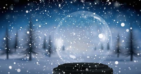 Winter Wonderland With Snow Globe in Forest - Download Free Stock Images Pikwizard.com