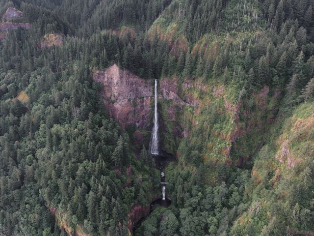 Aerial view capturing the scenic Multnomah Falls cascading down a rocky cliff surrounded by lush and dense forest in Oregon. This image is perfect for promotional materials for tourism, nature magazines, travel blogs, or prints for home and office decor.