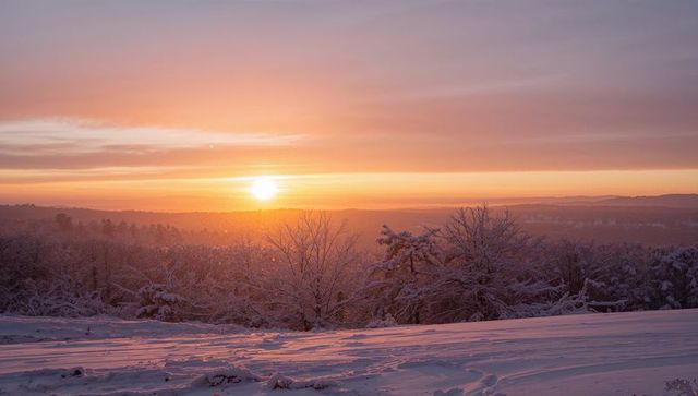 Sun Rising Over Snowy Field Casting Warm Sunrise Glow Across Frosted Trees