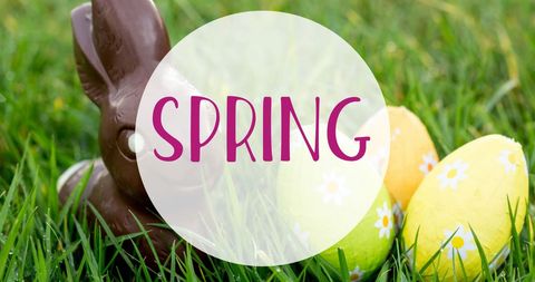 Easter Celebration with Chocolate Rabbit and Colorful Eggs in Spring - Download Free Stock Images Pikwizard.com