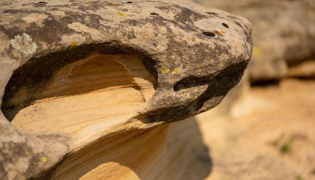 Weathered sandstone cavity with lichen caprock and layered bedding in sunlit badlands