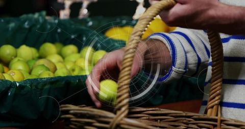 Striped-sweater hands picking small green apples into wicker basket at farmers market