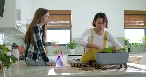 Diverse friends potting seedlings on modern kitchen countertop in yellow overalls