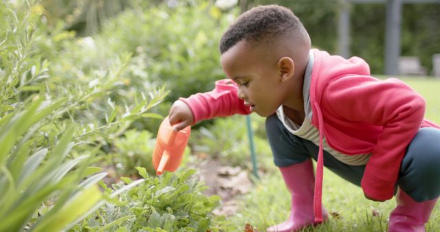 Young Child Watering Plants in Garden - Download Free Stock Images Pikwizard.com