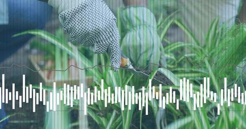 Gloved hand using trowel removing soil from garden bed with data waveform overlay