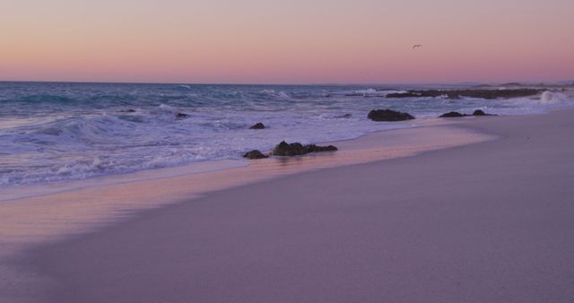 Serene Beach at Sunset with Pink and Purple Sky - Download Free Stock Images Pikwizard.com