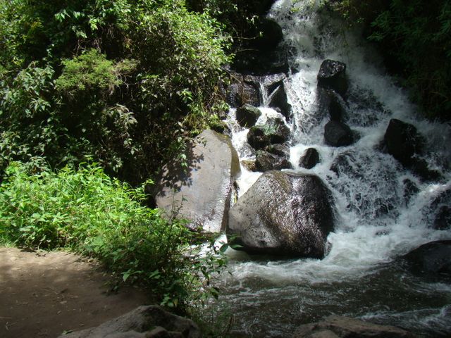 Cascading waterfall in lush forest setting with clear water flowing over large rocks. Ideal for promoting eco-tourism, nature retreats, or meditation themes. Perfect for use in brochures, travel websites, and relaxation-related content.