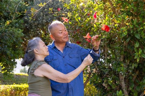 Senior asian couple admiring red hibiscus in sunlit garden, enjoying quiet companionship