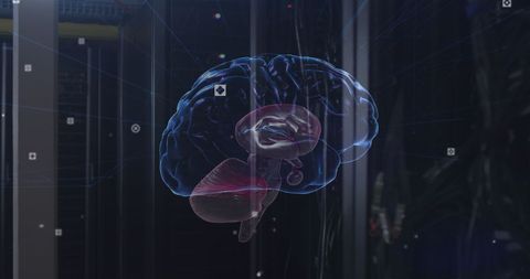 Digital Brain Overlay in a Futuristic Server Environment - Download Free Stock Images Pikwizard.com