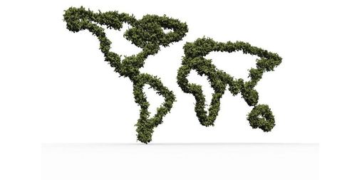 World Map Shaped with Greenery Representing Sustainable Environment