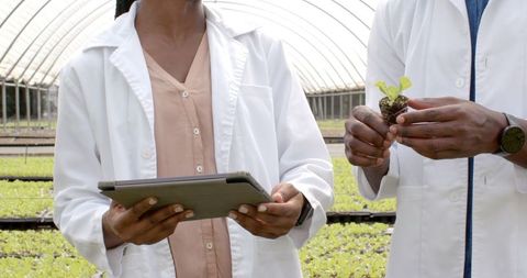 Researchers in hydroponic greenhouse examining plant growth