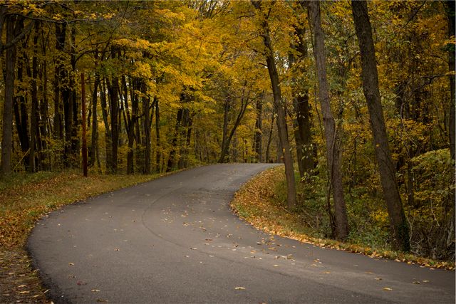 Winding Road through Autumn Forest with Yellow Leaves - Download Free Stock Photos Pikwizard.com