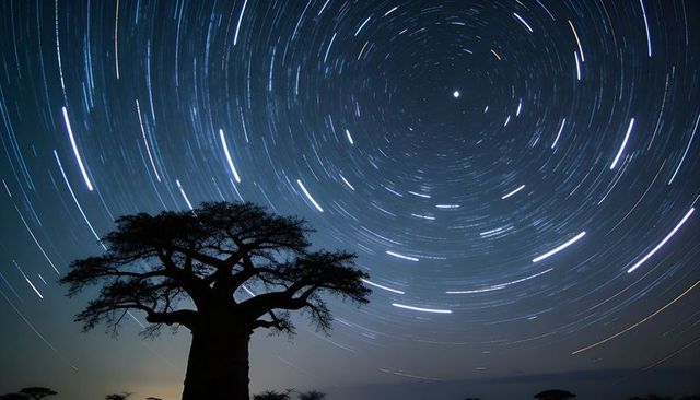 Baobab silhouette framing circular star trails over african savanna night sky