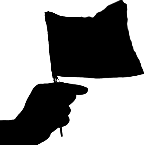 Transparent silhouette of hand holding national flag