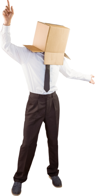 Businessman With a Box on Head Making Gestures on Transparent Background - Download Free Stock Videos Pikwizard.com