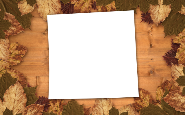 Blank Transparent Paper on Wooden Table with Autumn Leaves Border - Download Free Stock Videos Pikwizard.com