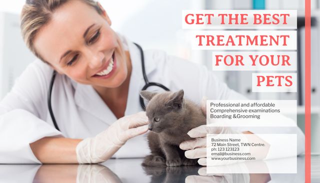 This image shows a veterinarian smiling while examining a gray kitten at a veterinary clinic. Perfect for businesses promoting veterinary services, animal health care, pet grooming, and comprehensive pet examinations. It conveys trust, professionalism, and compassion in the care of pets. Ideal for websites, advertisements, brochures, and social media campaigns focusing on veterinary services and pet wellness.