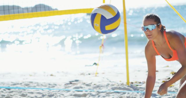 Female Beach Volleyball Player Diving for a Dig - Download Free Stock Images Pikwizard.com