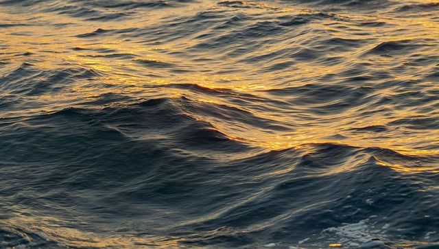 Shimmering golden sunset glinting across ocean waves with ripple texture and foam highlights