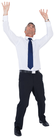 Professional Businessman Raising Arms Transparent Background - Download Free Stock Videos Pikwizard.com