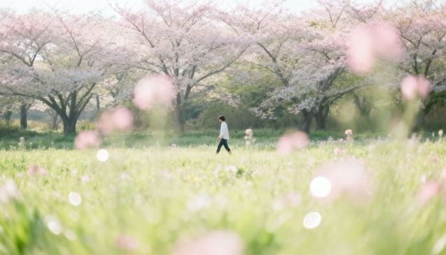 Man walking through cherry blossom meadow with pastel flowers, dreamy bokeh spring scene