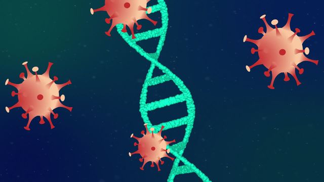 This digital animation depicts COVID-19 virus cells around a spinning DNA strand, showcasing the molecular and genetic aspects of the virus. It is ideal for use in educational materials, healthcare presentations, scientific research articles, and public health awareness campaigns to illustrate and explain the nature of the coronavirus and its implications on human genetics.