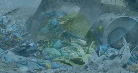 Environmental Pollution: Urban Landfill and Waste Management Challenges - Download Free Stock Images Pikwizard.com